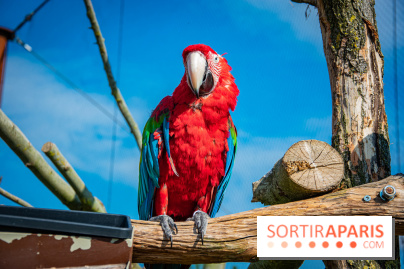 Parrot World, le parc animalier immersif d'Île-de-France
