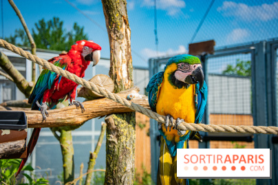 Parrot World, le parc animalier immersif d'Île-de-France