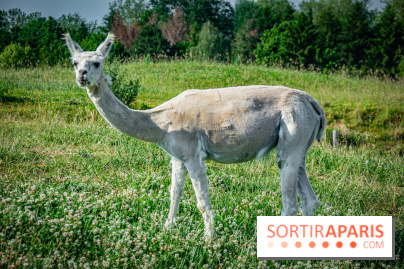 Parrot World, le parc animalier immersif d'Île-de-France