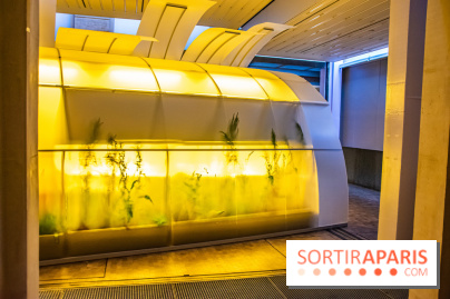 Surface Horizon, l'exposition à Lafayette Anticipations : nos photos