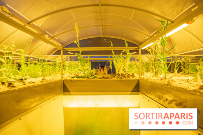 Surface Horizon, l'exposition à Lafayette Anticipations : nos photos