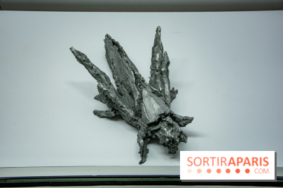 Surface Horizon, l'exposition à Lafayette Anticipations : nos photos