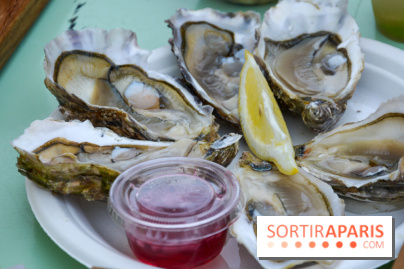La Bamba : le renouveau du Jardin Suspendu au Parc Floral