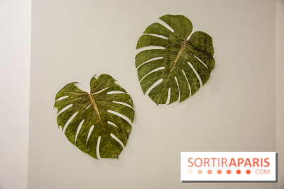 Drawing Power - Children of Compost, l'exposition au Drawing Lab