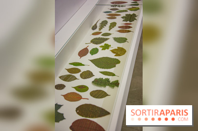 Drawing Power - Children of Compost, l'exposition au Drawing Lab