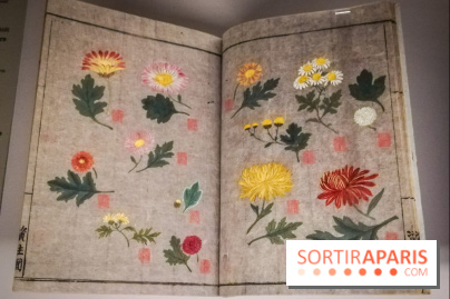 Jardins d'Asie, l'exposition dépaysante du Musée Guimet - nos photos