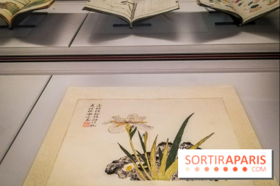 Jardins d'Asie, l'exposition dépaysante du Musée Guimet - nos photos