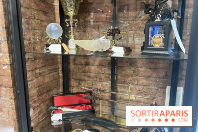 La Boutique aux 2 balais, un spot dédié à Harry Potter à Paris