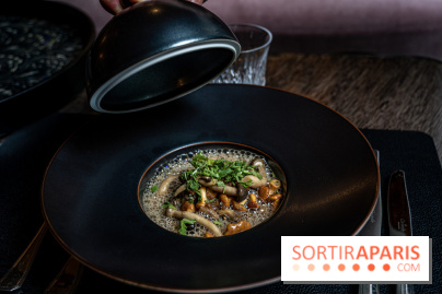 Trente-Trois, restaurant étoilé de Sébastien Sanjou à la Maison Villeroy