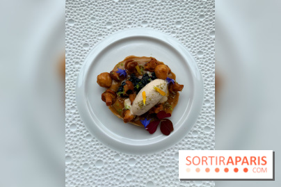 Oiseau Blanc Peninsula