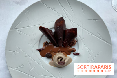 Oiseau Blanc Peninsula