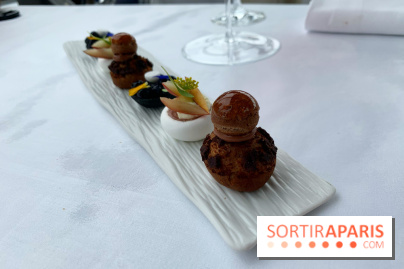 Oiseau Blanc Peninsula