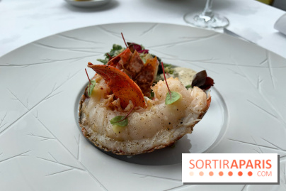 Oiseau Blanc Peninsula