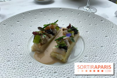 Oiseau Blanc Peninsula