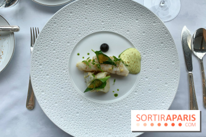 Oiseau Blanc Peninsula