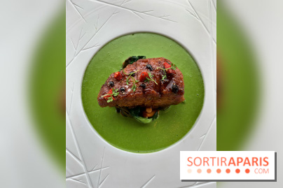 Oiseau Blanc Peninsula