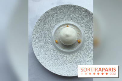 Oiseau Blanc Peninsula