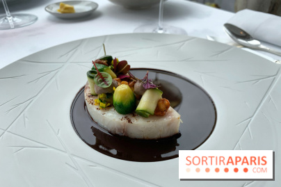 Oiseau Blanc Peninsula