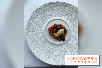 Oiseau Blanc Peninsula