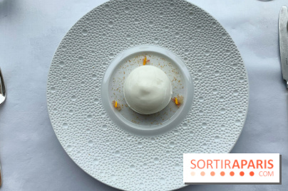 Oiseau Blanc Peninsula