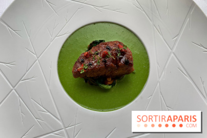 Oiseau Blanc Peninsula