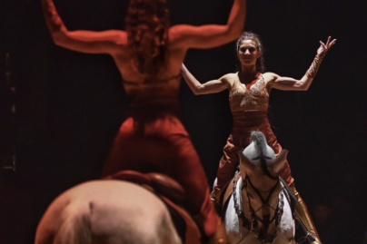 Festival International du Cirque du Val d'Oise (95)