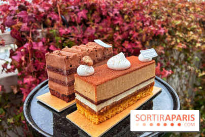 Bûches de Noël végétales 2024 de Land&Monkeys : trois délices vegan à partager