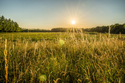 Journées nationales de l'Agriculture 2026 : balade sur la biodiversité à travers les champs