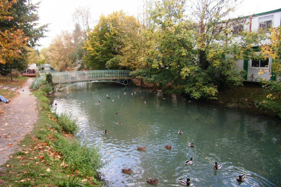 Fête de la Science 2022 : le programme dans l'Essonne