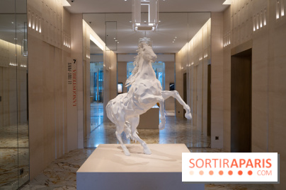 Le Cheval Blanc Paris se dévoile en photos !
