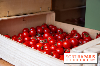 Sapid, la table à manger Naturaliste d'Alan Ducasse : nos photos