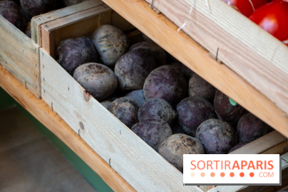 Sapid, la table à manger Naturaliste d'Alan Ducasse : nos photos