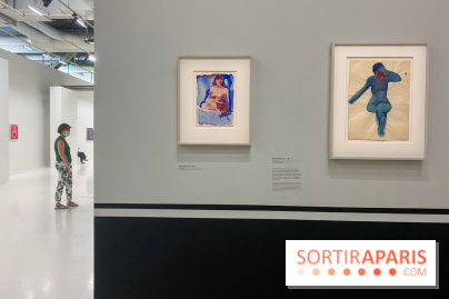 Georgia O'keeffe au Centre Pompidou