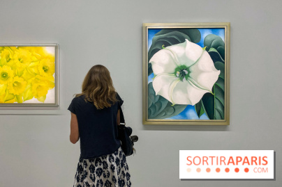 Georgia O'keeffe au Centre Pompidou