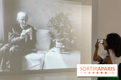 Georgia O'keeffe au Centre Pompidou