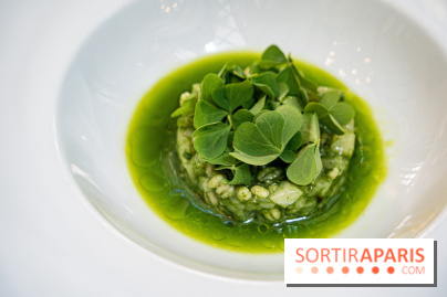 Il Carpaccio au Royal Monceau par Alessandra Del favero et Oliver Piras