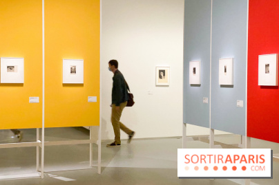 Les chefs-œuvre du MOMA au Jeu de Paume