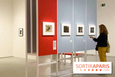 Les chefs-œuvre du MOMA au Jeu de Paume