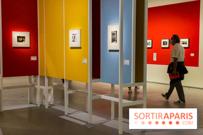 Les chefs-œuvre du MOMA au Jeu de Paume