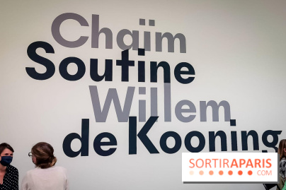 Soutine/de Kooning, l'exposition au Musée de l'Orangerie - nos photos