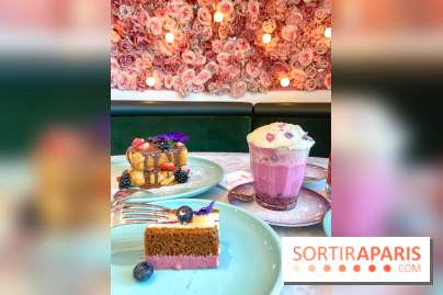 Elan café, le célèbre salon de thé rose aux Galeries Lafayette