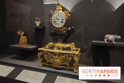 Venus d'ailleurs, matériaux et objets voyageurs