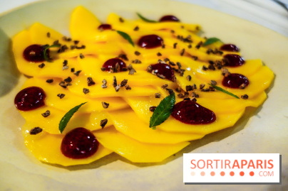 Tzantza à Paris, nos photos