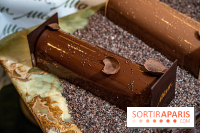 Photos : Les Bûches de Noël 2021 et galettes 2022 de Pierre Chirac et Stephanie Le Quellec