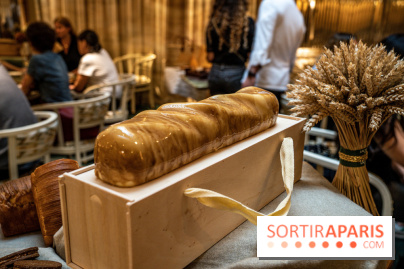 Photos : Les Bûches de Noël 2021 et galettes 2022 de Pierre Chirac et Stephanie Le Quellec