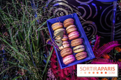 Bûches de Noël de Pierre Hermé 2021 et galettes 2022