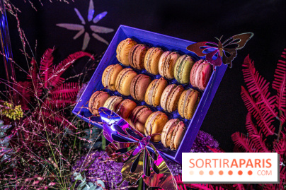 Bûches de Noël de Pierre Hermé 2021 et galettes 2022