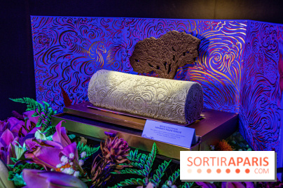 Bûches de Noël de Pierre Hermé 2021 et galettes 2022