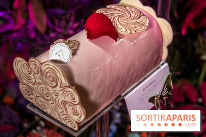 Bûches de Noël de Pierre Hermé 2021 et galettes 2022