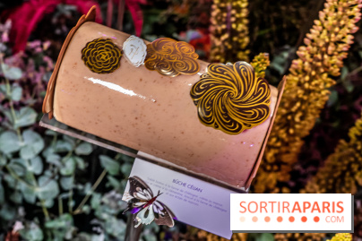 Bûches de Noël de Pierre Hermé 2021 et galettes 2022